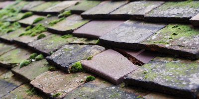Great Hivings roof repair costs